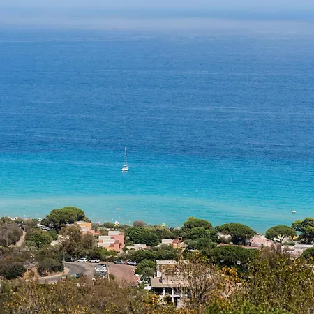 Fico D'india N10 * Muravera