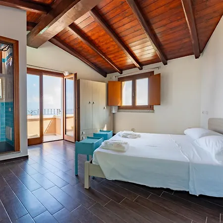 Fico D'india N10 *