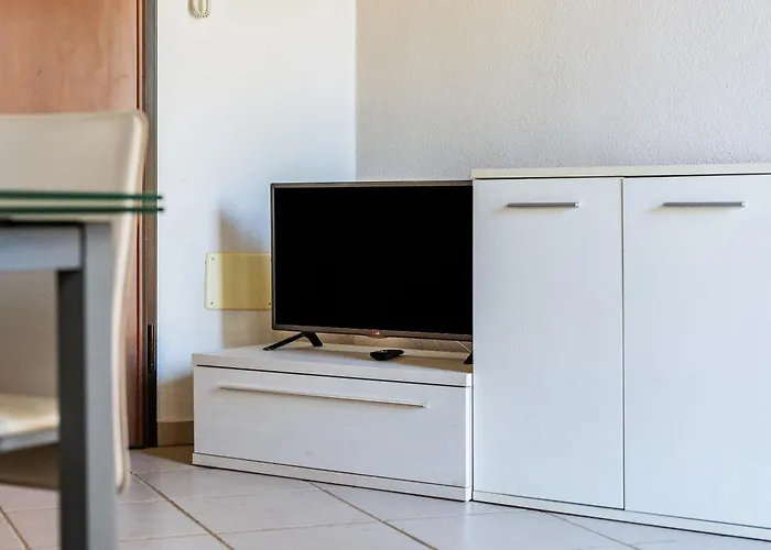 Fico D'india N10