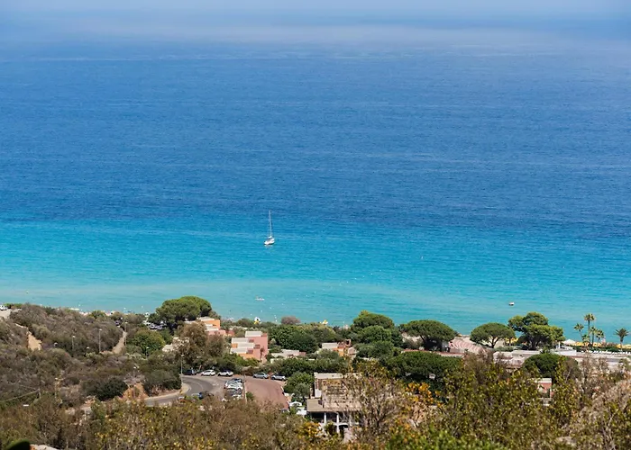 Fico D'india N10 * Muravera