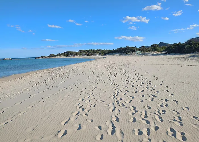 Nyaraló Fico D'india N10 *